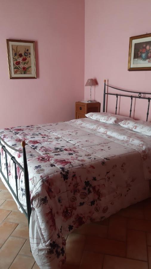 Agriturismo Cantinaccia Di Sopra 皮蒂利亚诺 外观 照片