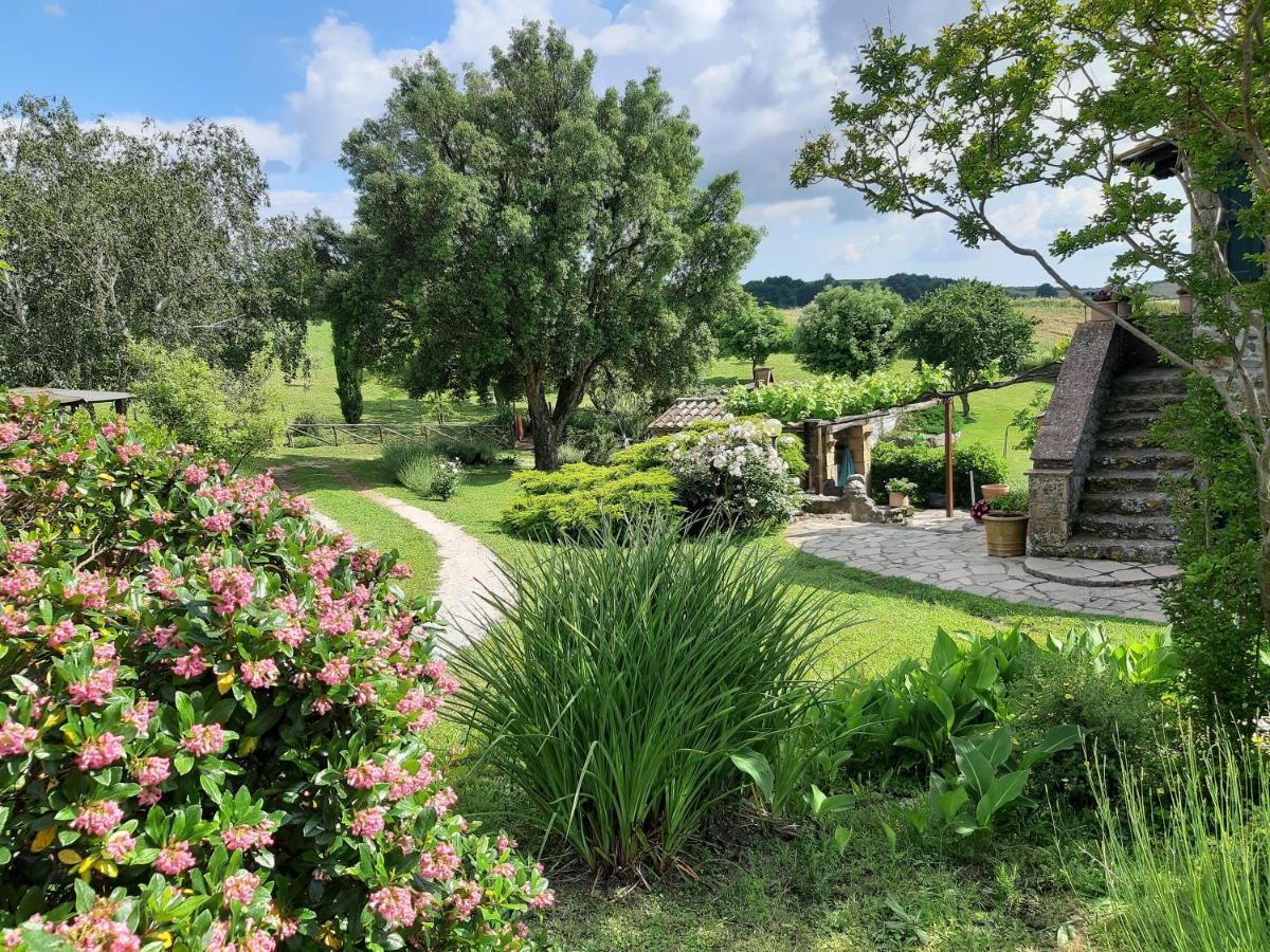 Agriturismo Cantinaccia Di Sopra 皮蒂利亚诺 外观 照片
