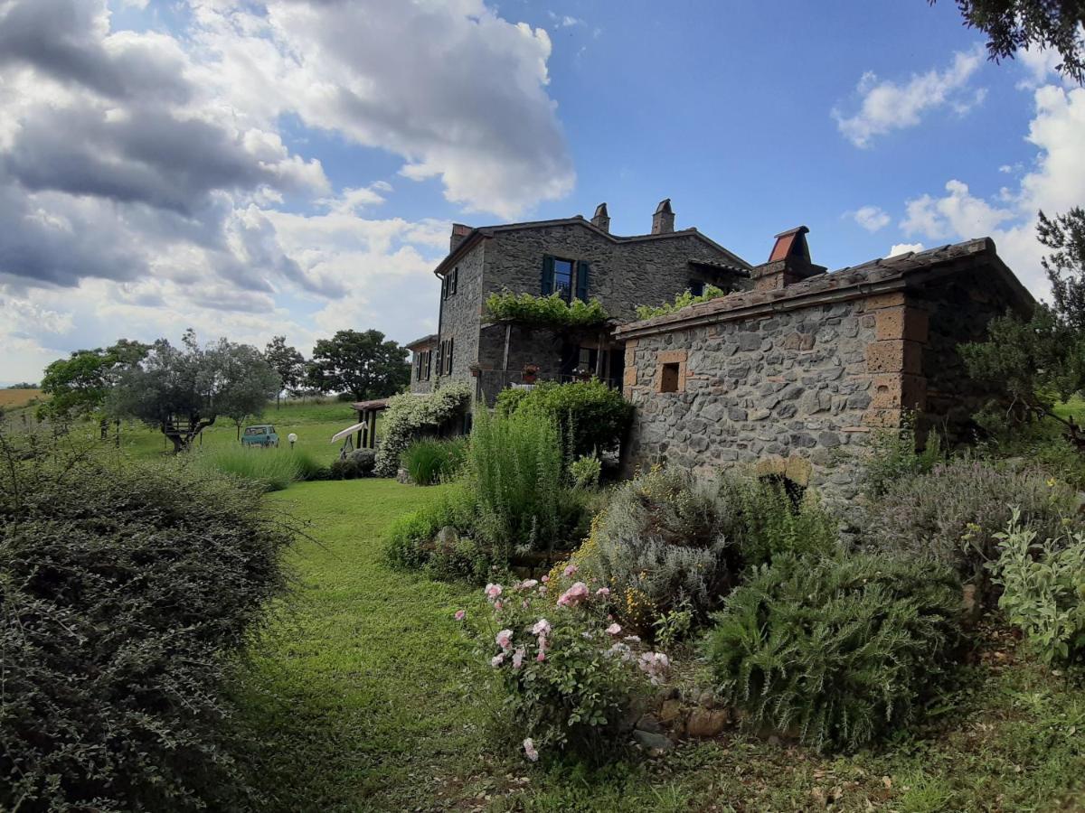 Agriturismo Cantinaccia Di Sopra 皮蒂利亚诺 外观 照片