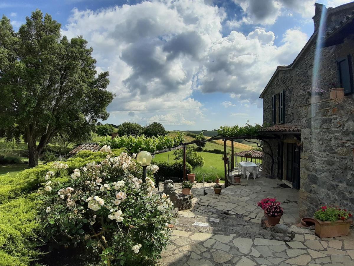 Agriturismo Cantinaccia Di Sopra 皮蒂利亚诺 外观 照片
