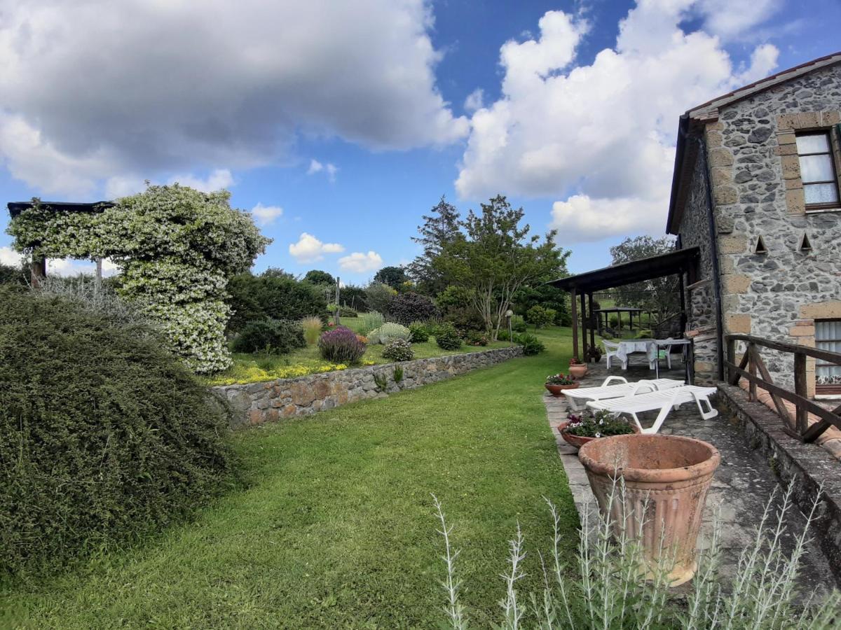 Agriturismo Cantinaccia Di Sopra 皮蒂利亚诺 外观 照片