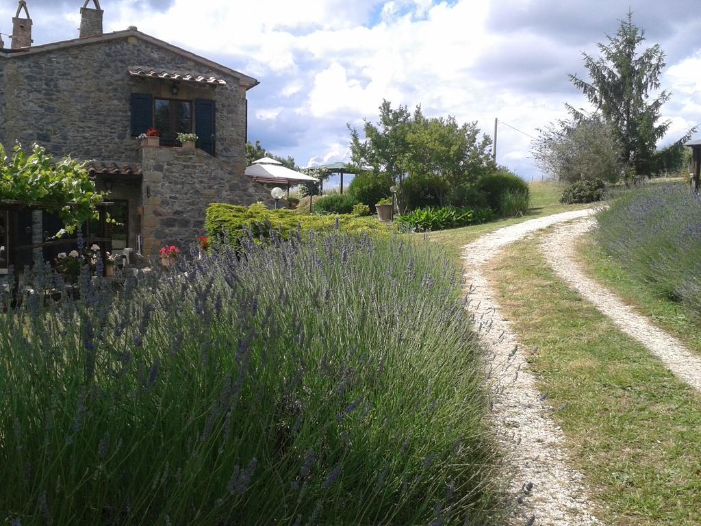 Agriturismo Cantinaccia Di Sopra 皮蒂利亚诺 外观 照片