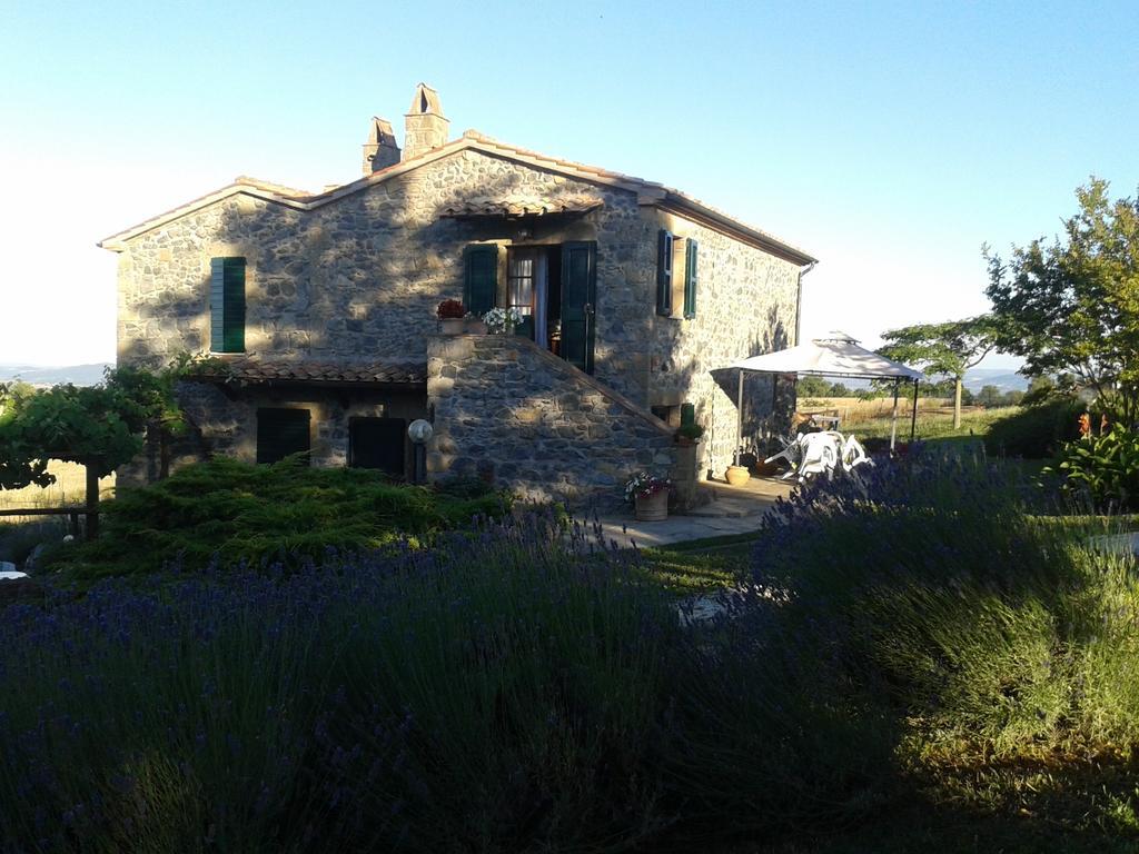 Agriturismo Cantinaccia Di Sopra 皮蒂利亚诺 外观 照片