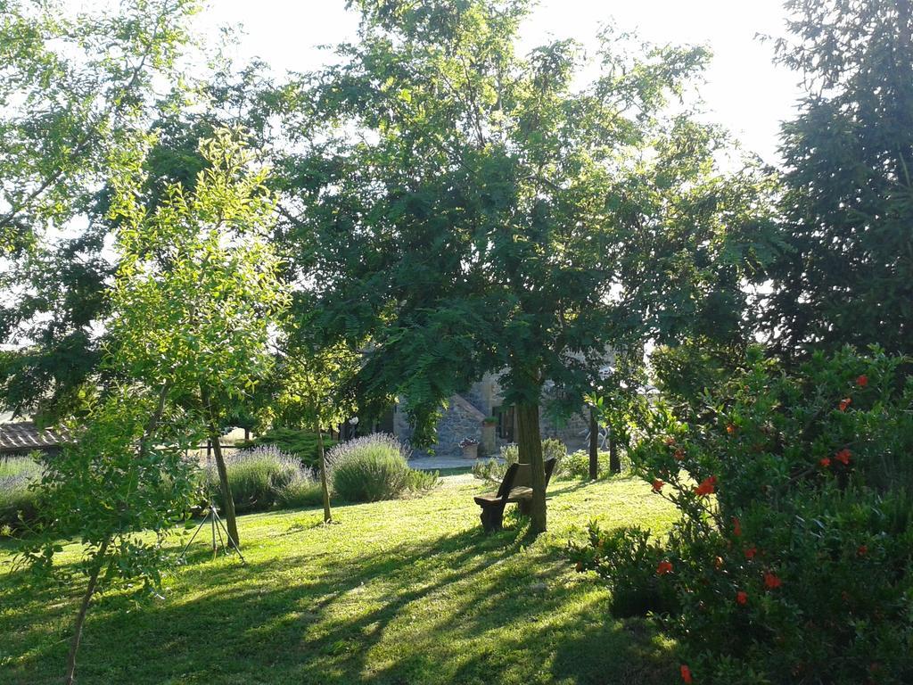 Agriturismo Cantinaccia Di Sopra 皮蒂利亚诺 外观 照片