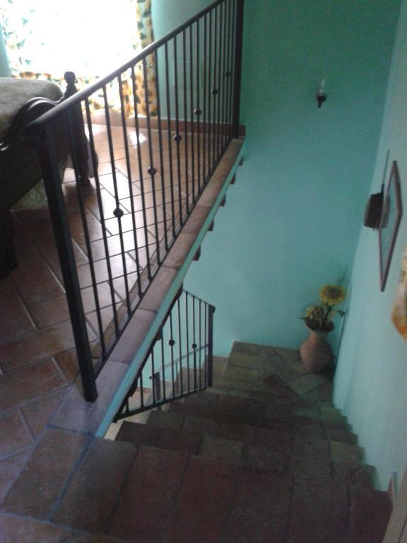 Agriturismo Cantinaccia Di Sopra 皮蒂利亚诺 外观 照片