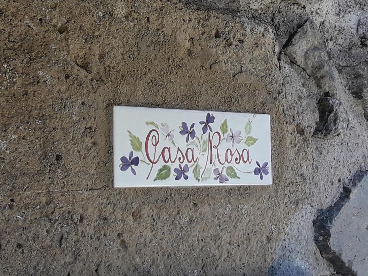 Agriturismo Cantinaccia Di Sopra 皮蒂利亚诺 外观 照片